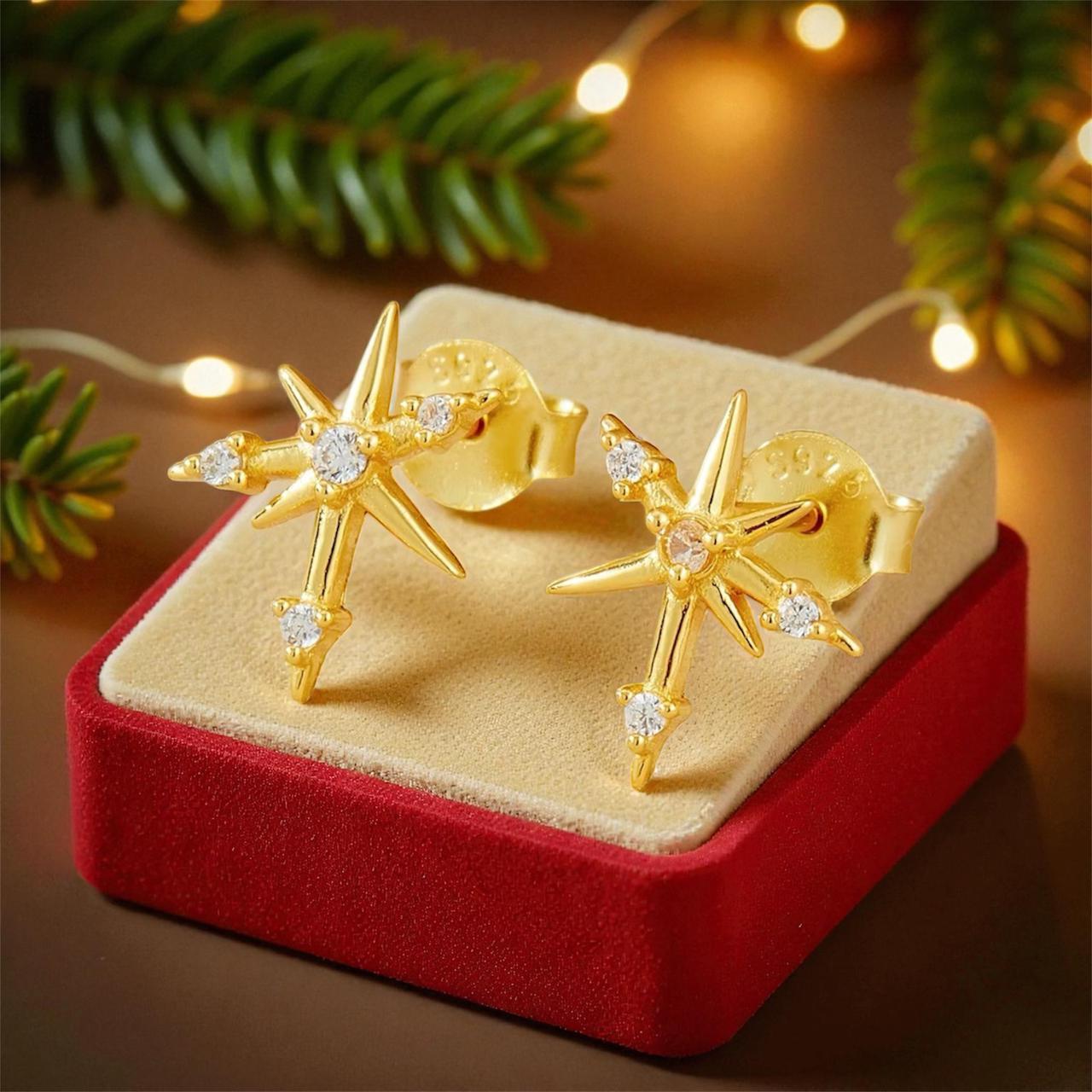 Asymmetrical Star with Zircon Earrings