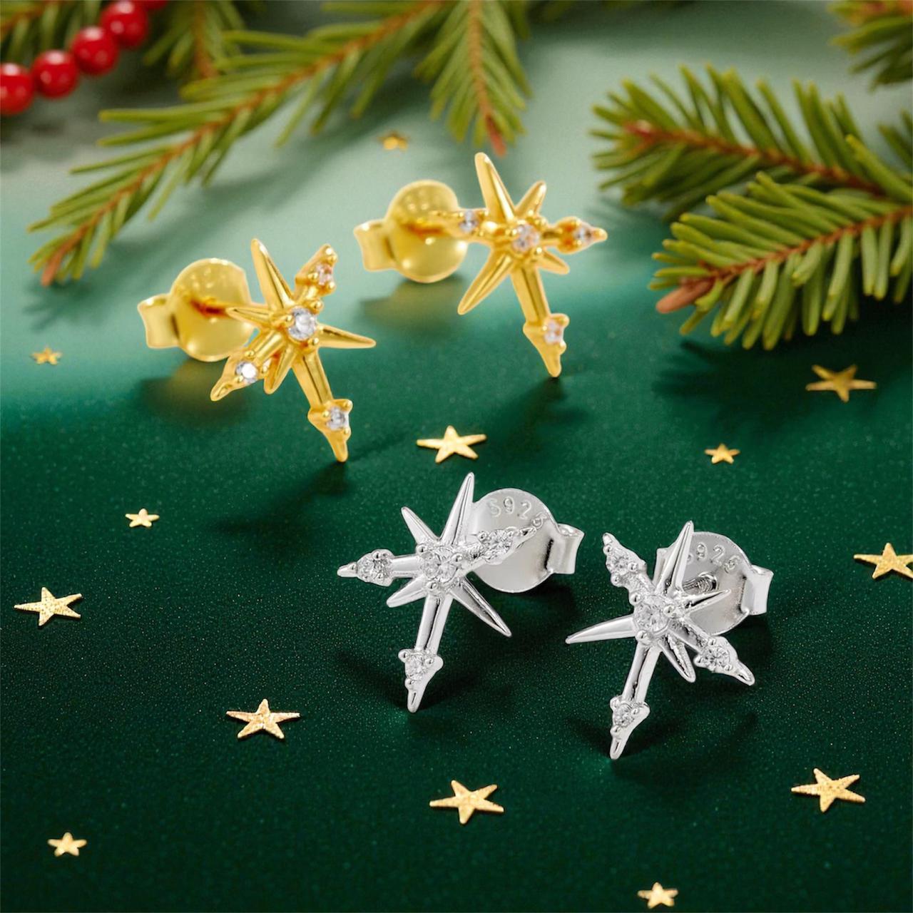 Asymmetrical Star with Zircon Earrings